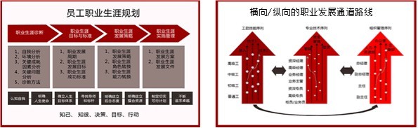华天谋项目描述